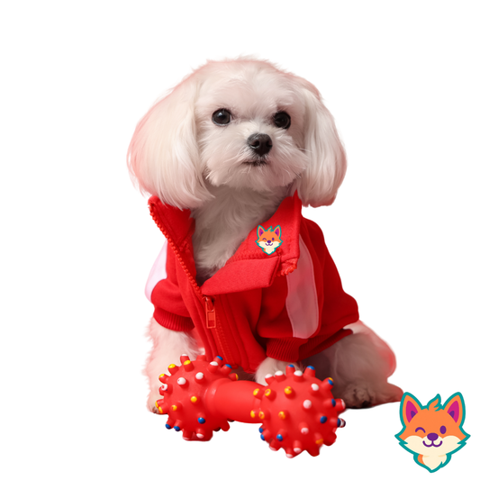 Dog cloth
