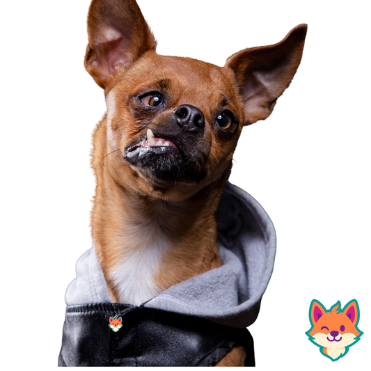 Dog Jackets